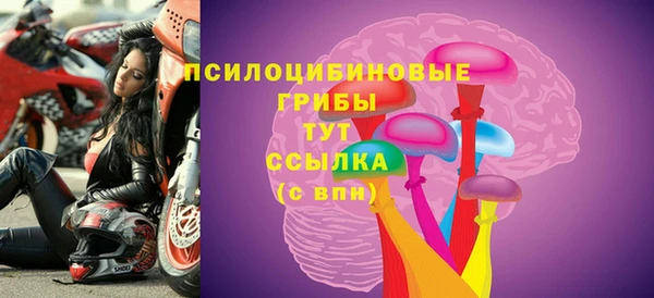 прущий лед Кодинск